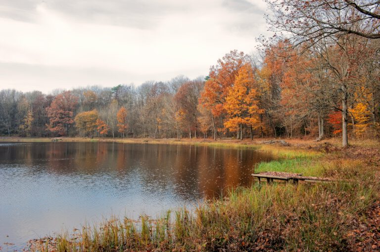 Warme Herbste verzögern das Zufrieren von Seen – und können das Wasser unter dem Eis im Winter sogar stärker abkühlen.