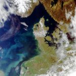 Satellitenbild aus der Nordsee: Im Frühjahr 2021 färbte eine Phytoplankton-Blüte das Wasser grünlich.