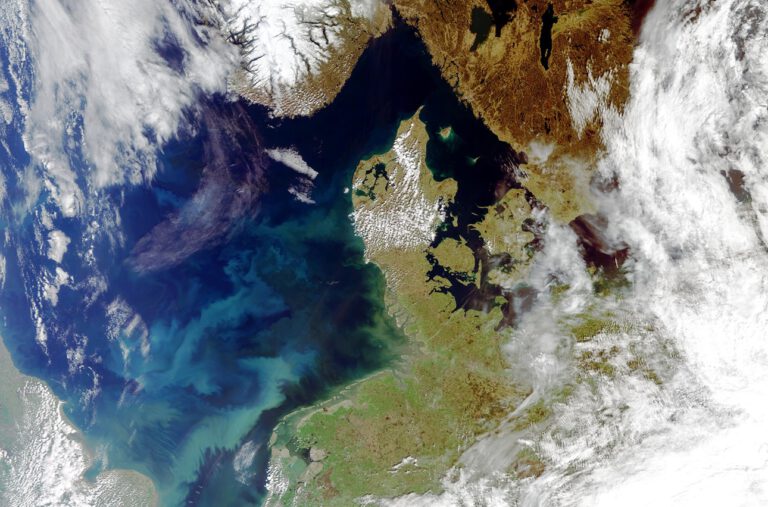 Satellitenbild aus der Nordsee: Im Frühjahr 2021 färbte eine Phytoplankton-Blüte das Wasser grünlich.