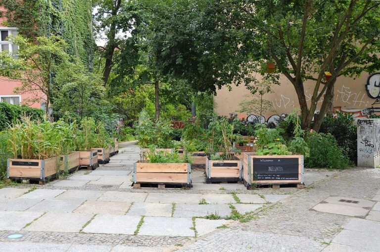 Urbanes Gärtnern mitten in der Stadt: Solche Beete könnten ungenutzte Flächen künftig für frisches Gemüse nutzbar machen.