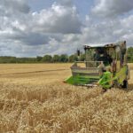 Mehr CO₂ in der Luft verändert unser Brot – fallen die Laibe künftig kleiner aus?