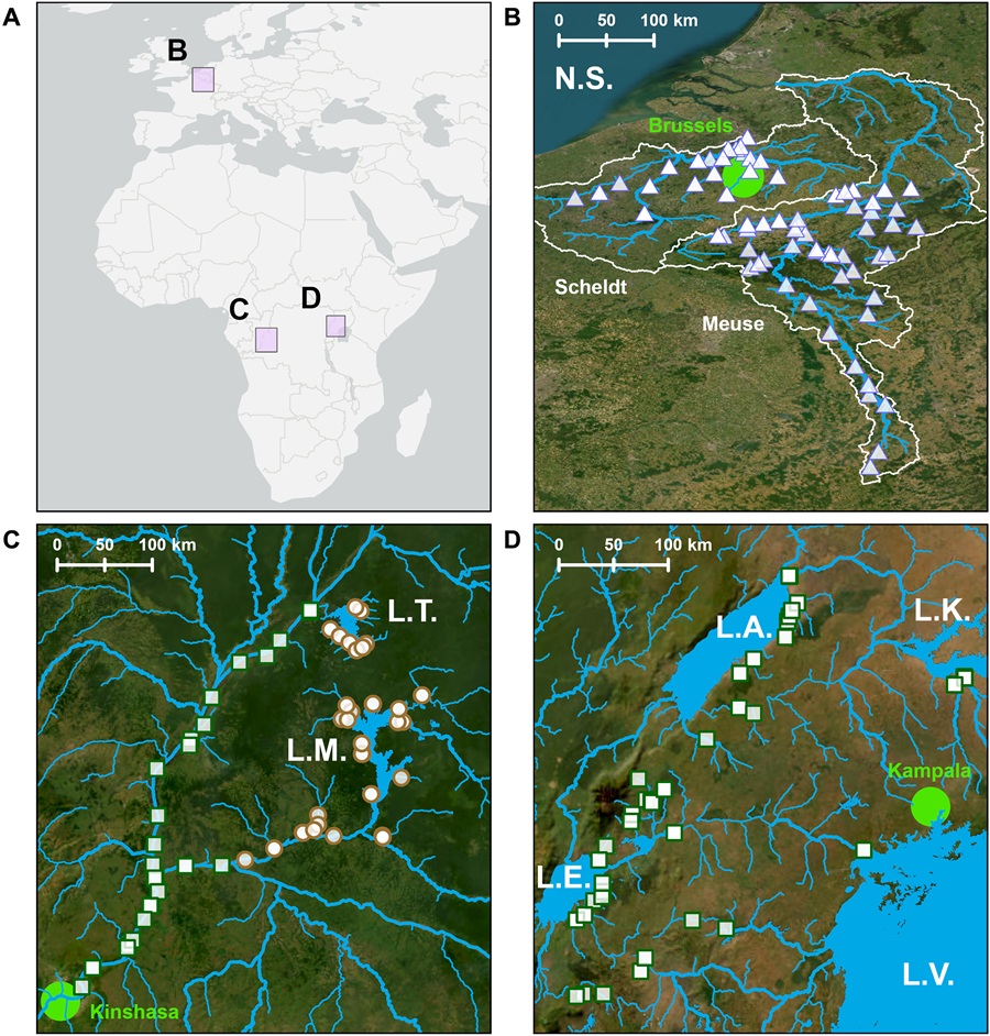 Von Maas und Schelde bis zum Kongobecken: Für die Studie erfasste das Team 262 Messungen in europäischen und afrikanischen Flüssen unterschiedlicher Größe und Landschaftstypen. © Science Advances