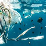 Mikroplastik kann Schadstoffe aus dem Meer aufnehmen und zugleich chemische Zusatzstoffe aus dem ursprünglichen Kunststoff freisetzen. © Unsplash