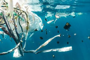 Mikroplastik kann Schadstoffe aus dem Meer aufnehmen und zugleich chemische Zusatzstoffe aus dem ursprünglichen Kunststoff freisetzen. © Unsplash