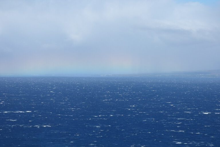 Tiefe Wolken wirken wie ein natürlicher Sonnenschutz der Erde. Gehen sie zurück, bleibt mehr Sonnenenergie im Klimasystem – mit spürbaren Folgen für die Erderwärmung. © Wikimedia