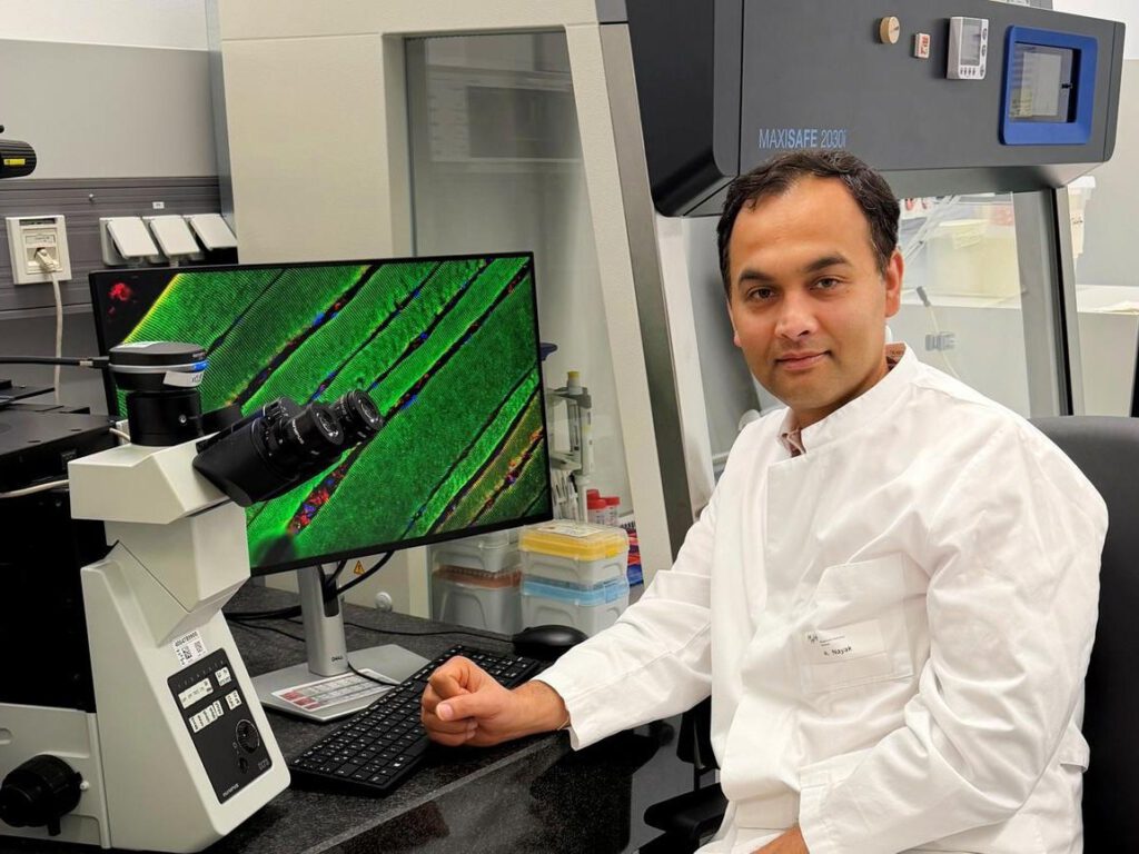 Privatdozent Dr. Arnab Nayak hat einen Mechanismus entdeckt, der Muskeln bei Krebs schwächt – und einen möglichen Ansatz, um die Störung zu verhindern. © Edgar Becker/MHH