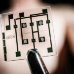 Forscher der LiU haben mithilfe von organischer Elektronik auf Basis leitfähiger Kunststoffe die Ionensignale von Herzmuskelzellen künstlich nachgeahmt. © Thor Balkhed / Universität Linköping