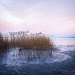 Der Balaton wirkt im Winter wie eine stille, gefrorene Welt. Doch unter seiner Eisdecke steuert ein empfindlicher Rhythmus Licht, Wärme und Leben im See.