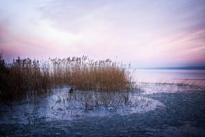 Der Balaton wirkt im Winter wie eine stille, gefrorene Welt. Doch unter seiner Eisdecke steuert ein empfindlicher Rhythmus Licht, Wärme und Leben im See.