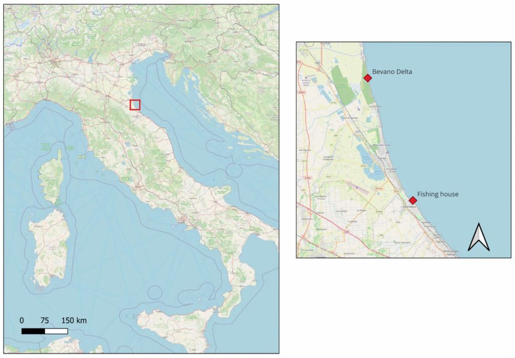 Im Bevano-Delta und bei Cesenatico fingen die Forscher die Blaukrabben für ihre Versuche. Die Karte zeigt die beiden Fangorte an der nördlichen Adriaküste. © Studie