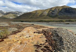 Ein rostorange verfärbter Sickerbereich in Alaska zeigt, wie stark auftauender Permafrost die Wasserchemie verändern kann. © Taylor Evinger/UC Davis.