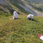 Im Bjelasica-Gebirge in Montenegro erfassen Forschende Pflanzenarten im Gelände. Solche Untersuchungen zeigen, wie sich Europas Flora über Jahrzehnte verändert.