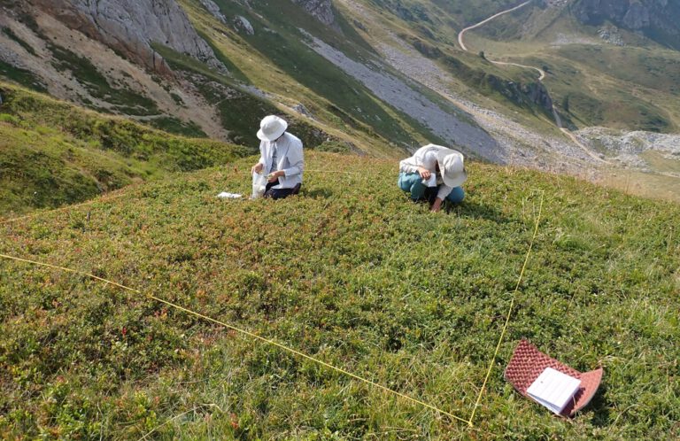 Im Bjelasica-Gebirge in Montenegro erfassen Forschende Pflanzenarten im Gelände. Solche Untersuchungen zeigen, wie sich Europas Flora über Jahrzehnte verändert.