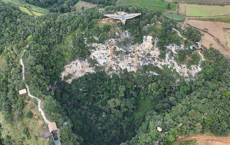 Gigantische Sinklöcher in Südchina schützen eine seltene Magnolie vor Hitze und Trockenheit – doch die Isolation gefährdet ihre genetische Zukunft.