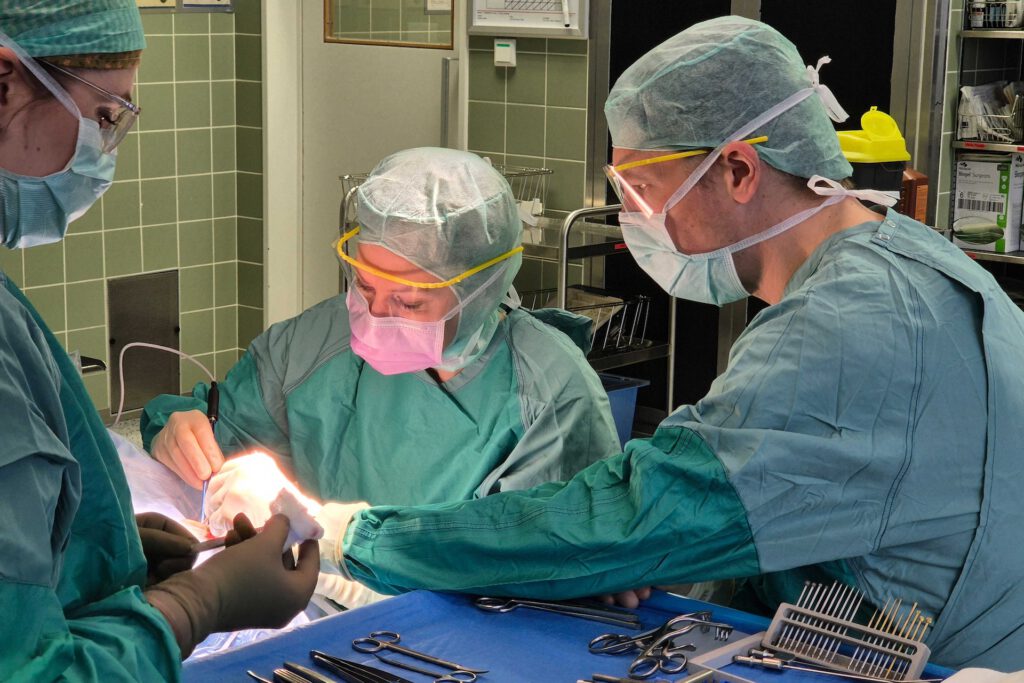Konzentration am OP-Tisch: Die Implantation eines ABI gehört zu den anspruchsvollsten Eingriffen in der Hörrehabilitation. © Daniela Beyer/MHH