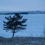 In Sibirien trifft tauender Permafrost auf immer häufigere Hitze und Trockenheit – Bedingungen, die den Methanausstoß der Region weiter antreiben können.