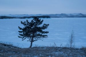 In Sibirien trifft tauender Permafrost auf immer häufigere Hitze und Trockenheit – Bedingungen, die den Methanausstoß der Region weiter antreiben können.