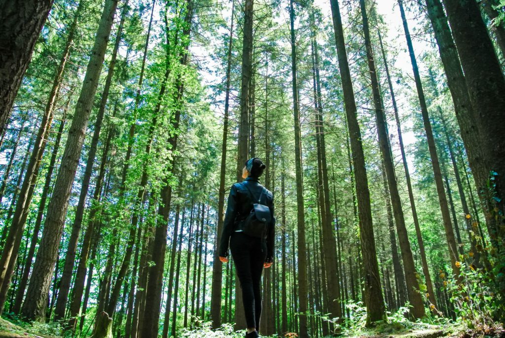 Frau im Wald