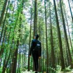 So wirkt Natur auf die Psyche: Warum Grün mehr kann als nur erholen