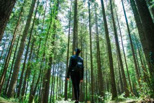 Frau im Wald