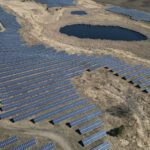 Wo Solarparks Acker- und Grasland ersetzen, kann die Vogelvielfalt sinken – besonders in ökologisch vielfältigen Regionen. © Pexels
