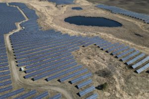 Wo Solarparks Acker- und Grasland ersetzen, kann die Vogelvielfalt sinken – besonders in ökologisch vielfältigen Regionen. © Pexels