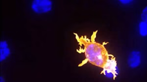 Eine neue Form der CAR-T-Zelltherapie wirkt direkt im Körper: Tumoren verschwinden in Tierversuchen binnen zwei Wochen.