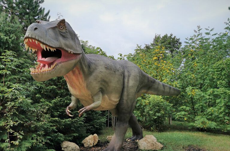 Gewaltiger Schädel, winzige Arme: Beim T-Rex wurde der Kopf offenbar zur wichtigsten Jagdwaffe.