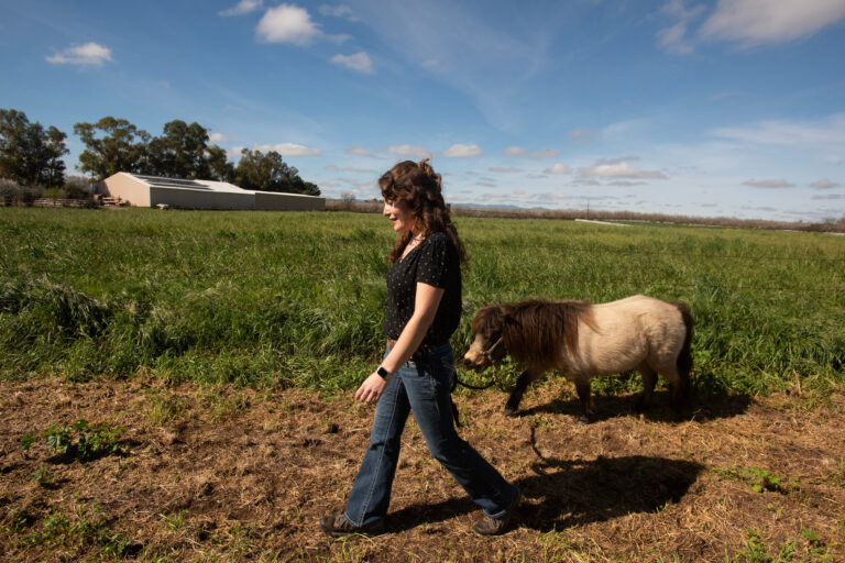 Rebecca Calisi Rodríguez von der UC Davis erforscht, wie schon kurze Begegnungen mit Miniaturpferden die Stimmung von Jugendlichen verändern können. © Gregory Urquiaga/UC Davis