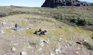 Uralte Abfallhaufen im Eis Grönlands bewahren Spuren früherer Siedler: Aus Mikroben in Kot, Tierknochen und Robbenresten lesen Forscher heute ab, wie Menschen dort lebten.