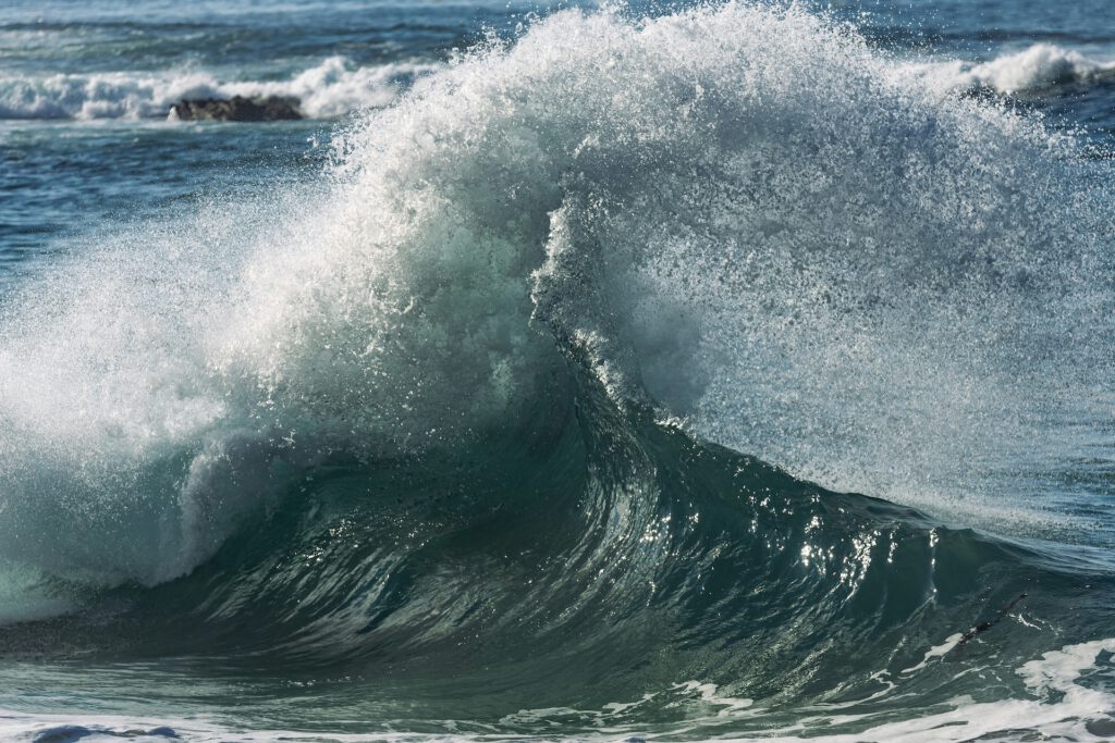 Der klimabedingte Meeresspiegelanstieg lässt mehr Salzwasser in Flüsse und Mündungsgebiete vordringen – mit Folgen für die mikrobiellen Gemeinschaften, die dort wichtige ökologische Aufgaben übernehmen. © Unsplash