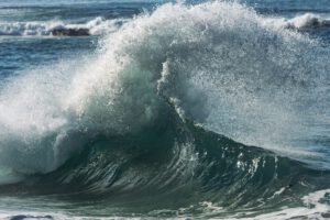 Der klimabedingte Meeresspiegelanstieg lässt mehr Salzwasser in Flüsse und Mündungsgebiete vordringen – mit Folgen für die mikrobiellen Gemeinschaften, die dort wichtige ökologische Aufgaben übernehmen. © Unsplash
