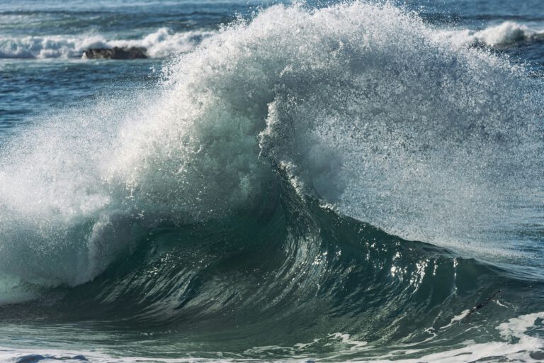 Der klimabedingte Meeresspiegelanstieg lässt mehr Salzwasser in Flüsse und Mündungsgebiete vordringen – mit Folgen für die mikrobiellen Gemeinschaften, die dort wichtige ökologische Aufgaben übernehmen. © Unsplash