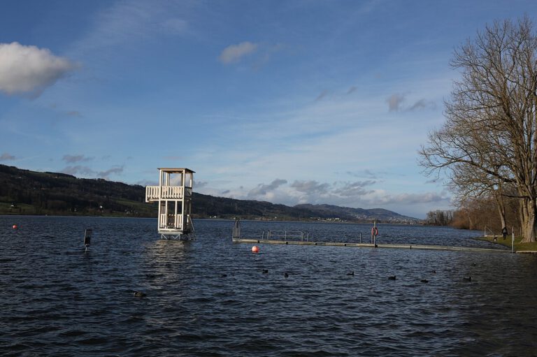 Der Baldeggersee wirkt wie ein natürlicher Filter gegen überschüssigen Stickstoff. Forschende warnen, dass der Klimawandel diese Schutzfunktion vieler Seen zunehmend schwächt.
