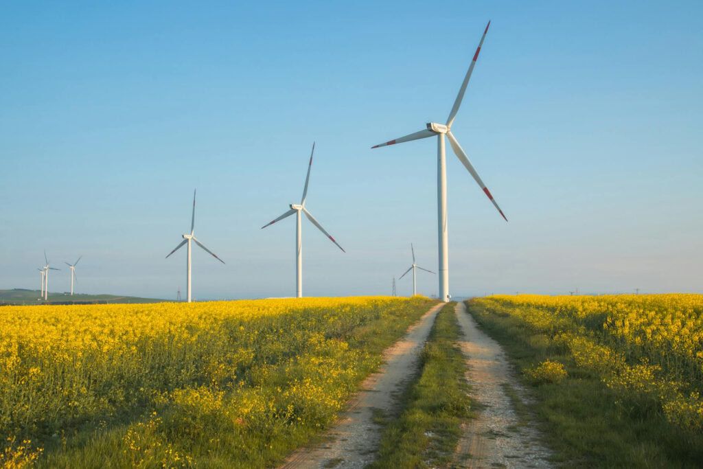 Windräder in einem Rapsfeld