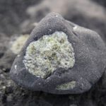 Ein Olivineinschluss steckt in erstarrter Lava – das magnesiumreiche Mineral aus dem Erdmantel reagiert an der Erdoberfläche vergleichsweise leicht mit Säuren und kann dabei Metalle freisetzen.
