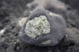 Ein Olivineinschluss steckt in erstarrter Lava – das magnesiumreiche Mineral aus dem Erdmantel reagiert an der Erdoberfläche vergleichsweise leicht mit Säuren und kann dabei Metalle freisetzen.