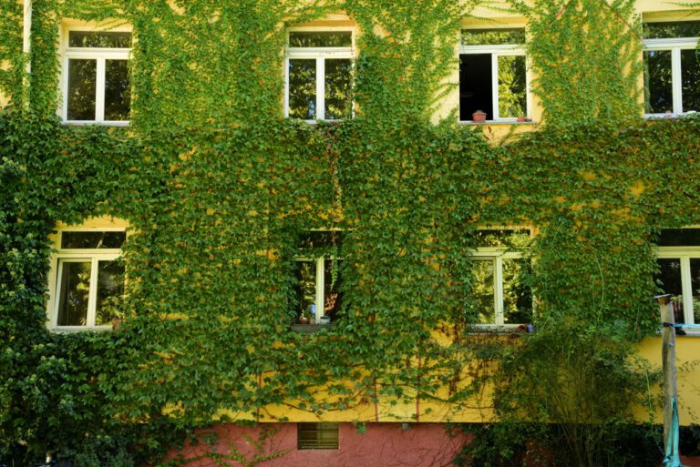 Grüne Fassade an einem Gebäude: Pflanzen an der Hauswand spenden Schatten, verdunsten Wasser und können Räume dahinter bei Hitze spürbar entlasten.